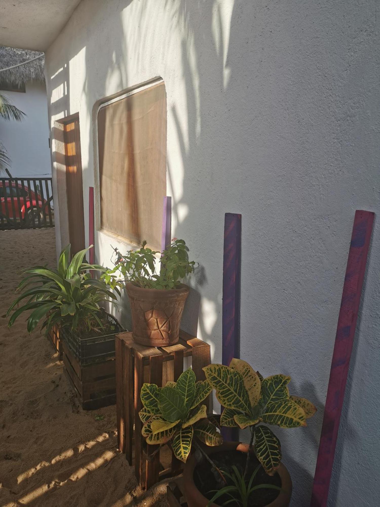 La Maxima & Lgbt Hotel Zipolite Bilik gambar