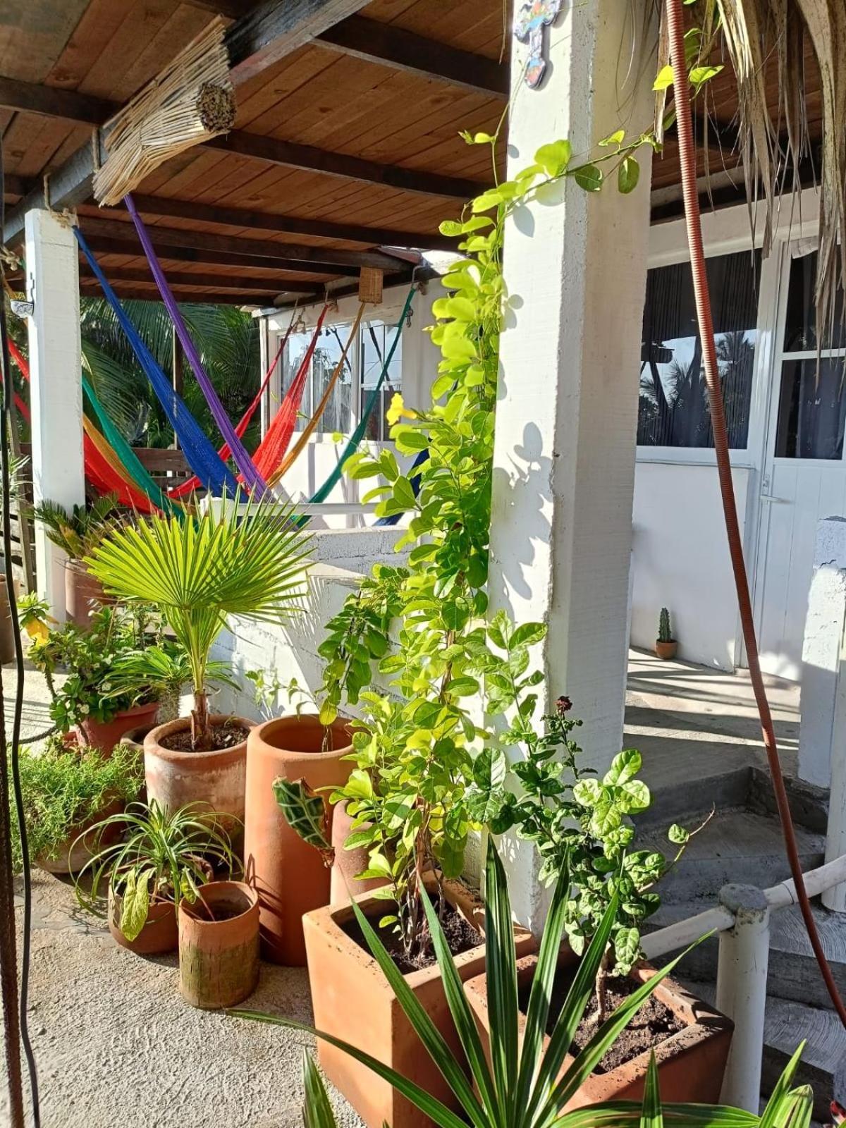 La Maxima & Lgbt Hotel Zipolite Luaran gambar