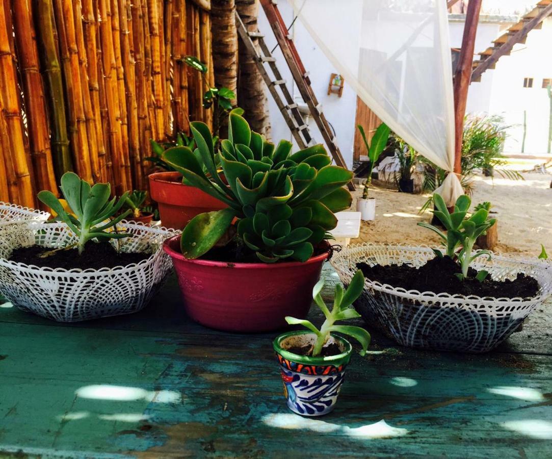 La Maxima & Lgbt Hotel Zipolite Luaran gambar